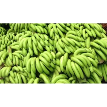 Green Banana  (34)-8159240-40832.webp